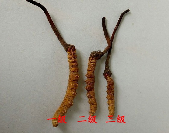 圖片7.png 圖片7.png