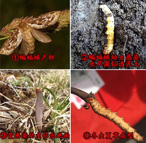 圖片2.png 圖片2.png