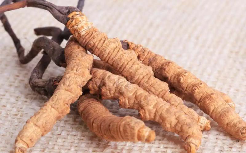 青海冬蟲(chóng)夏草產(chǎn)地分布?