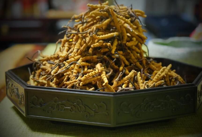 <a href=http://www.hazone.cn/ target=_blank class=infotextkey>冬蟲夏草</a>