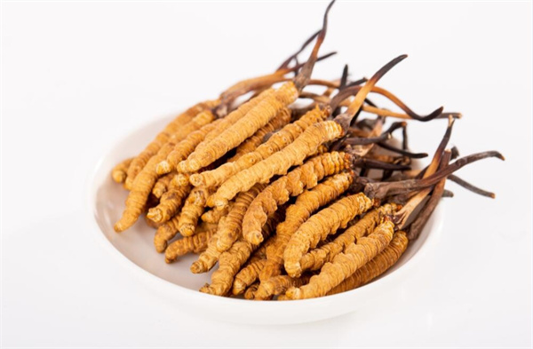 冬蟲(chóng)夏草和夾脊魚(yú)搭配怎么吃?