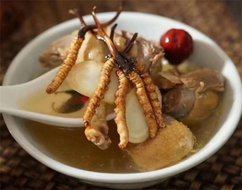 冬蟲(chóng)夏草和菖蒲搭配一起的吃法