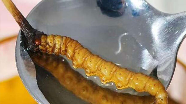 冬蟲夏草鮮草冷凍后這樣吃，營養(yǎng)不流失！