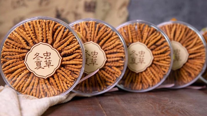 同仁堂<a href=http://www.hazone.cn/chanpin/ target=_blank class=infotextkey>冬蟲夏草禮盒</a>:珍稀饋贈,品質之選