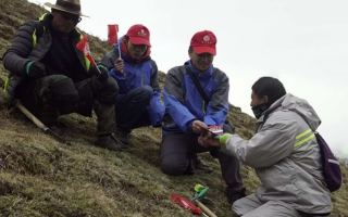冬蟲夏草:把握最佳采摘季,守護(hù)自然饋贈