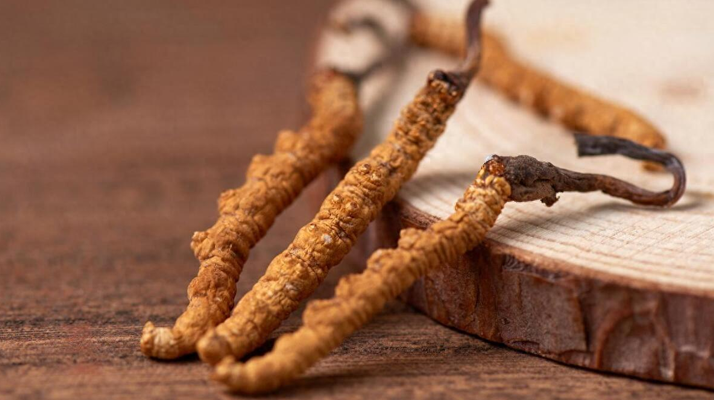 純野生<a href=http://www.hazone.cn/jiage/ target=_blank class=infotextkey>冬蟲夏草價格</a>剖析:多因素交織下的價值體現