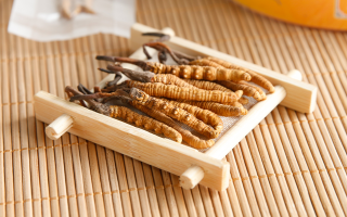 冬蟲夏草可以干燥存放嗎?科學儲存方法與注意事項