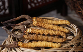 冬蟲(chóng)夏草煲湯怎么煲好喝?營(yíng)養(yǎng)與口感雙優(yōu)的實(shí)用指南