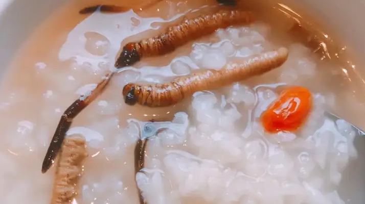 冬蟲夏草適合哪些人群?精準(zhǔn)匹配與禁忌提醒