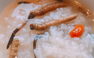 冬蟲夏草適合哪些人群?精準(zhǔn)匹配與禁忌提醒