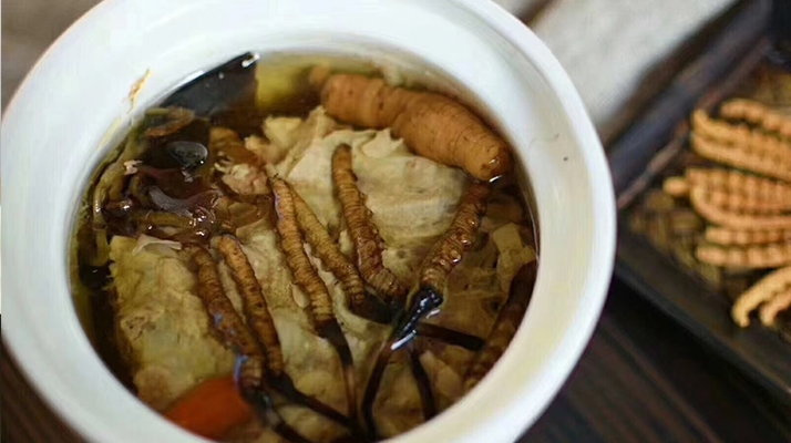 冬蟲夏草正常燉幾分鐘？掌握時長讓滋補更高效