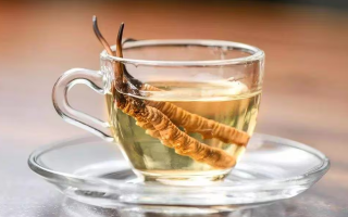 一瓶酒泡多少冬蟲夏草?科學(xué)搭配有講究