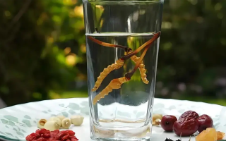 冬蟲夏草能空腹泡水喝嗎?不同人群需區別對待