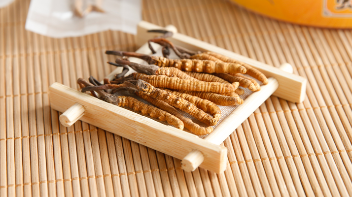 2025 年 9 月冬蟲夏草行情:價格微幅波動,優質貨成硬通貨