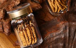 鮮冬蟲夏草泡水后怎么保存?3 種場(chǎng)景保存方法 + 避坑指南